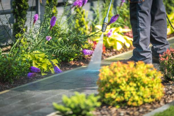 Best Dumpster Area Cleaning  in Butner, NC